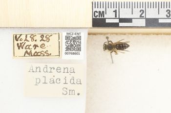 Media type: image;   Entomology 768601 Aspect: Labels